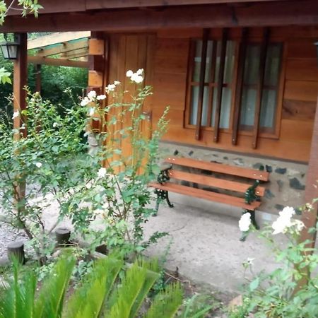 מלון Villa Ciudad Parque Cabanas Brisas Del Bosque מראה חיצוני תמונה